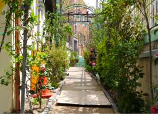 달성토성마을과 골목정원이야기