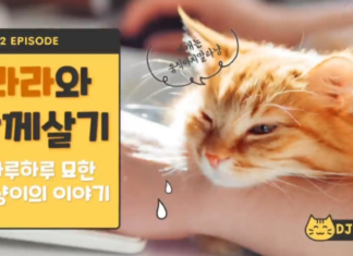 라라와 함께 살기